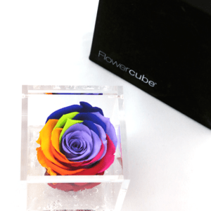 Flower Cube Arcobaleno