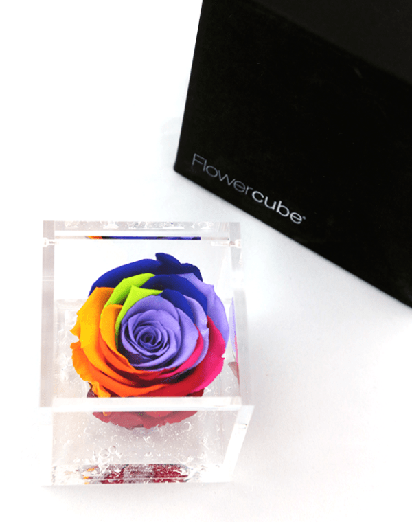 Flower Cube Arcobaleno