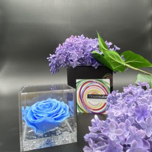 Flower Cube Azzurro