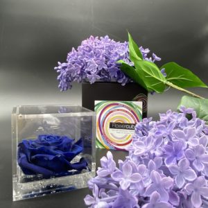 Flower Cube Blu