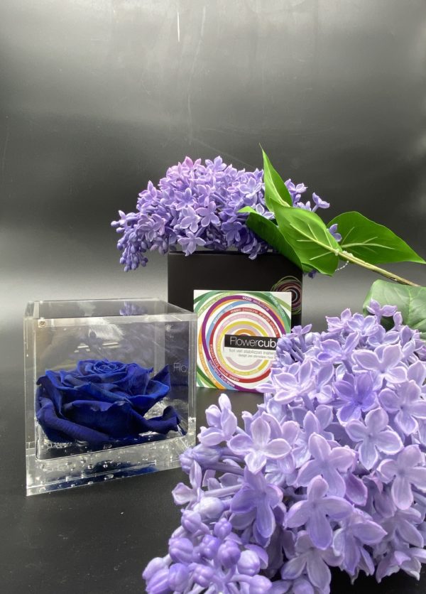 Flower Cube Blu