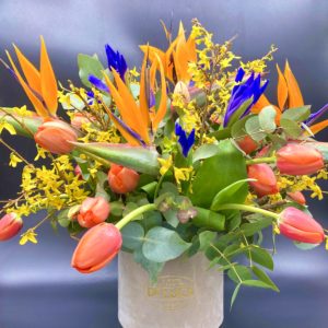 Flower box Tulipani