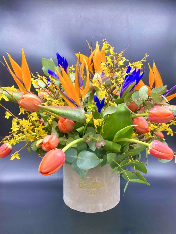 Flower box Tulipani
