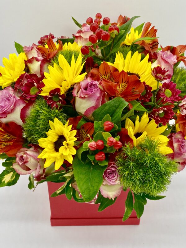 Flower Box Fireworks - immagine 2